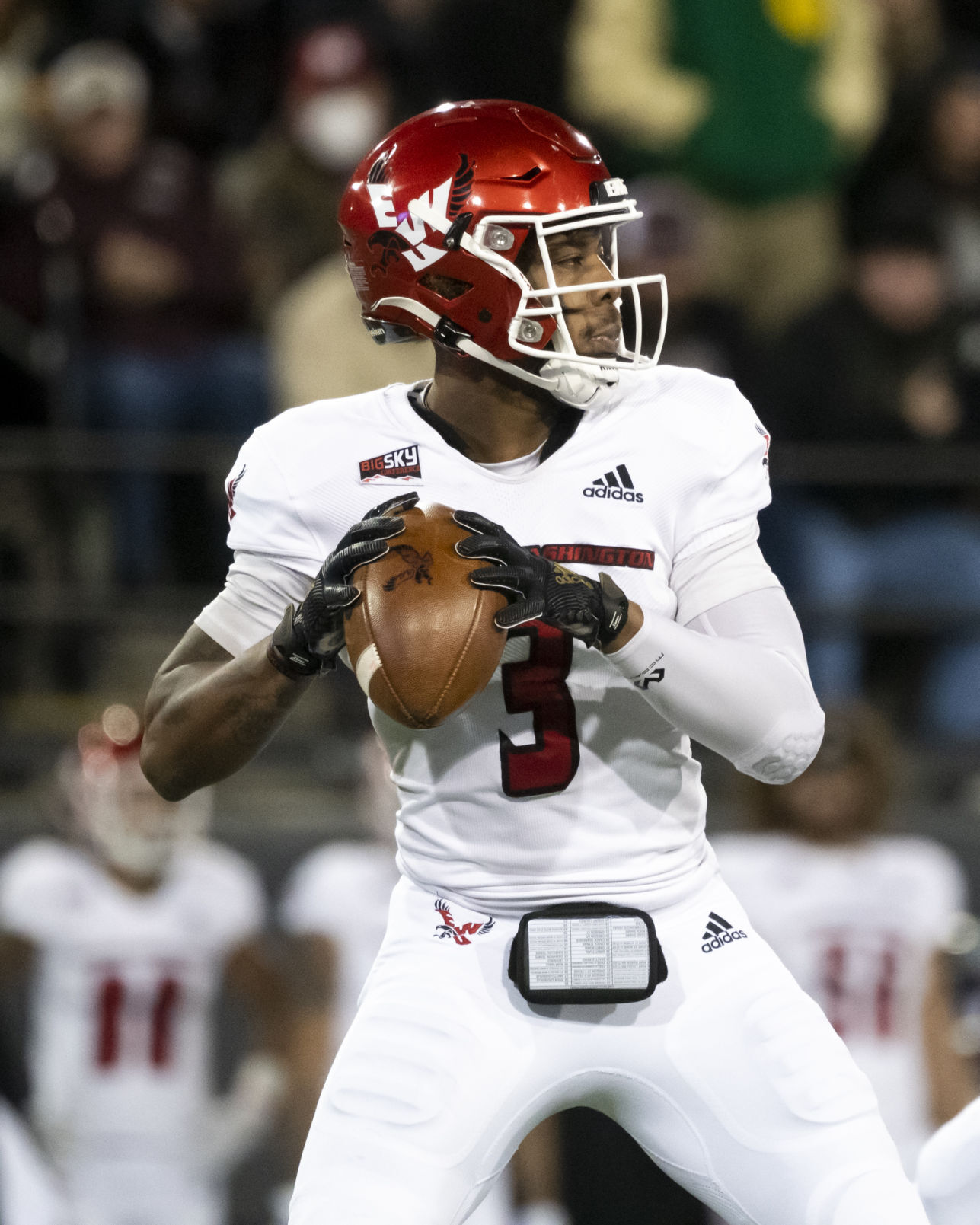 Griz vs. EWU playoffs 18.JPG